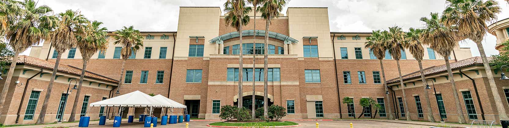 Alternative text goes here