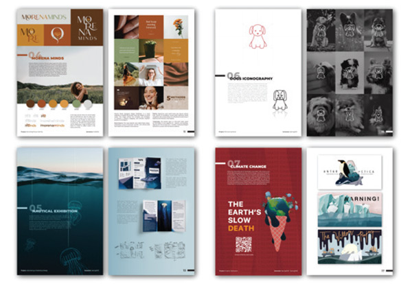 Brochure Design Portfolio by Laura Menchaca (Student)