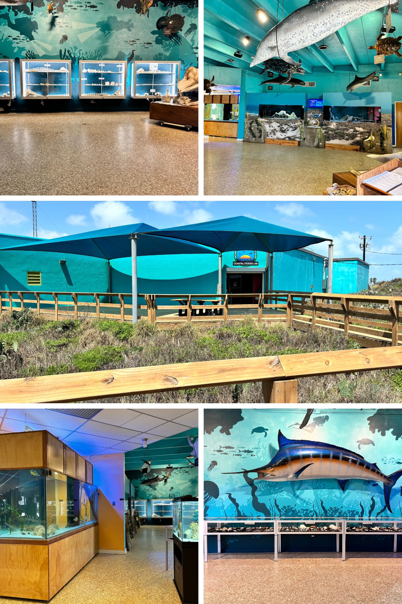 csl collage of aquarium and museum exhibits