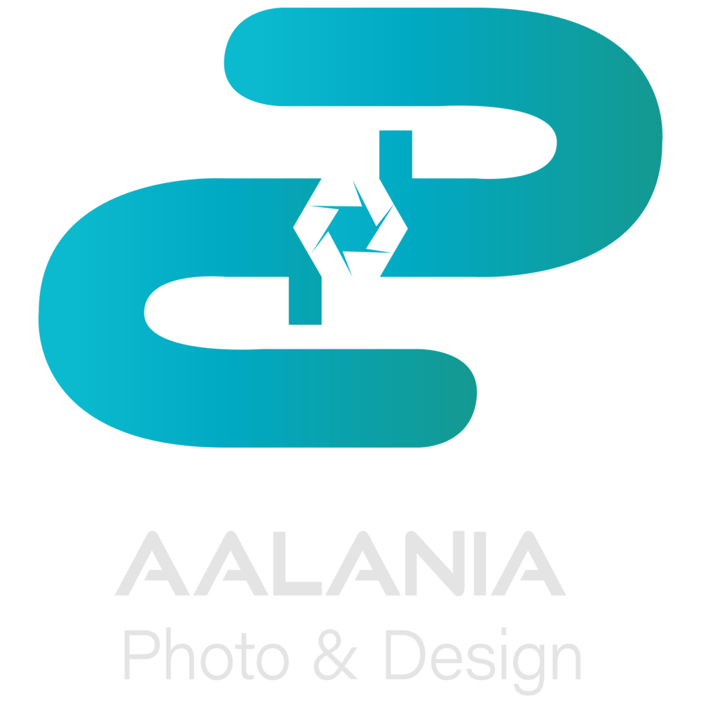 ayleen alanis personal brand logo