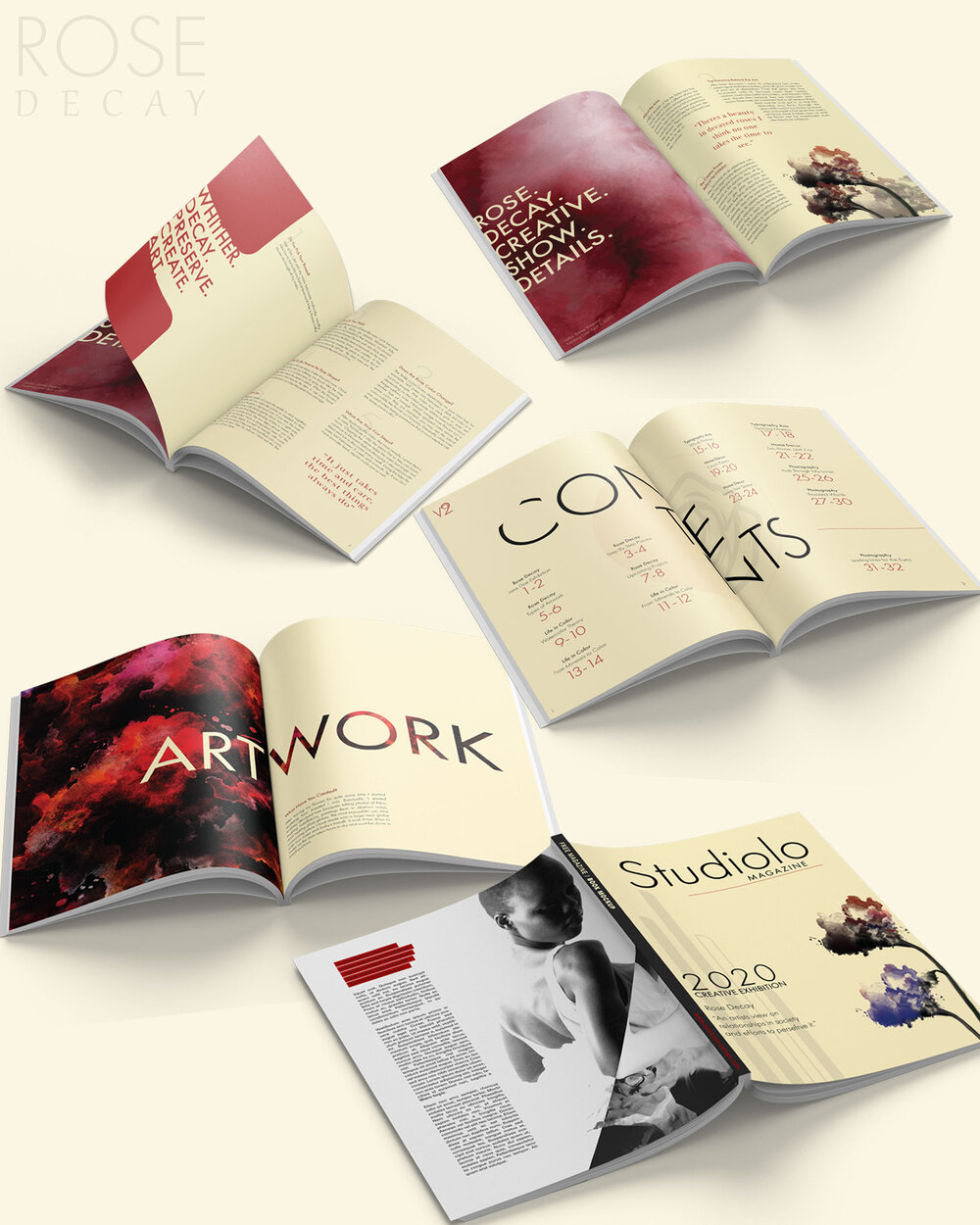 Magazine Book / 24” x 30” / Mock-up magazine booklet explaining artist history and work.
