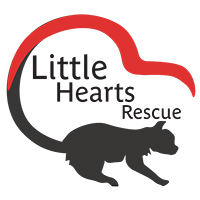 Little Hearts Rescue exhibit logo