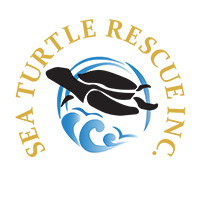 Sea Turtle Rescue exhibit logo