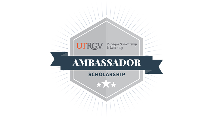 Ambasador Scholarship