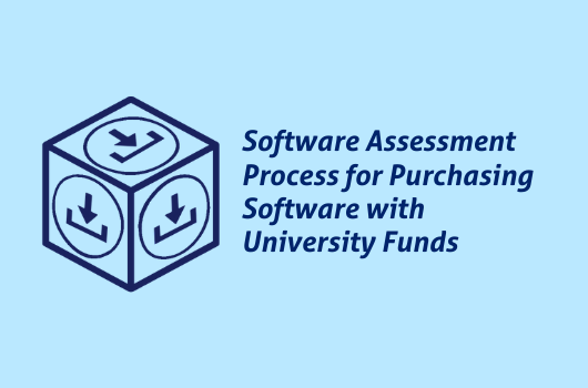 Software Assessment Process post content graphic.