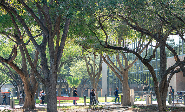 UTRGV campus in Edinburg on first day of Fall 2024 semester. (UTRGV Photo by Paul Chouy)