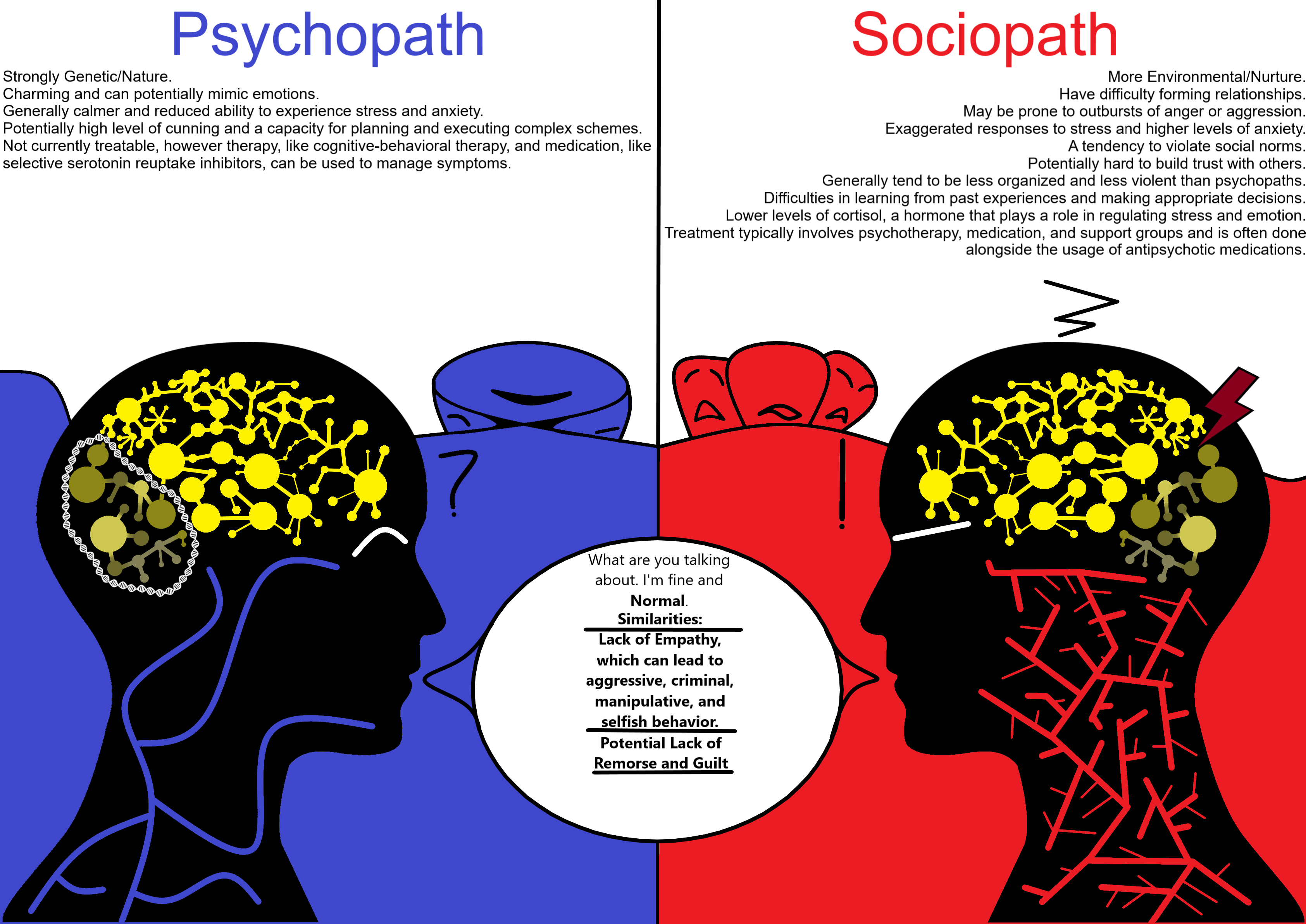Visual Presentation by Carlos Herrera The project Name is Psychopathy Vs  Sociopathy