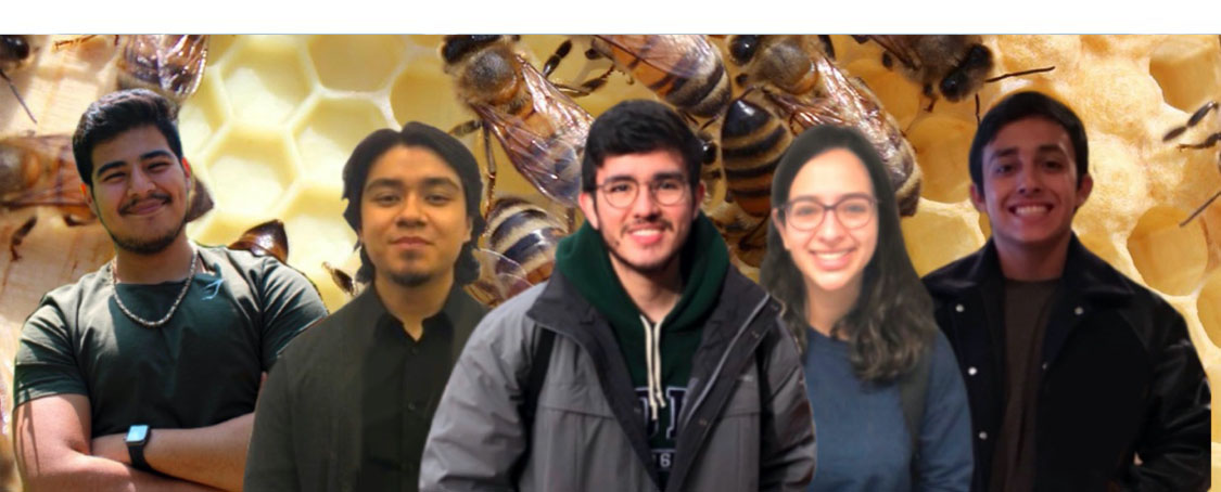 bee scale team